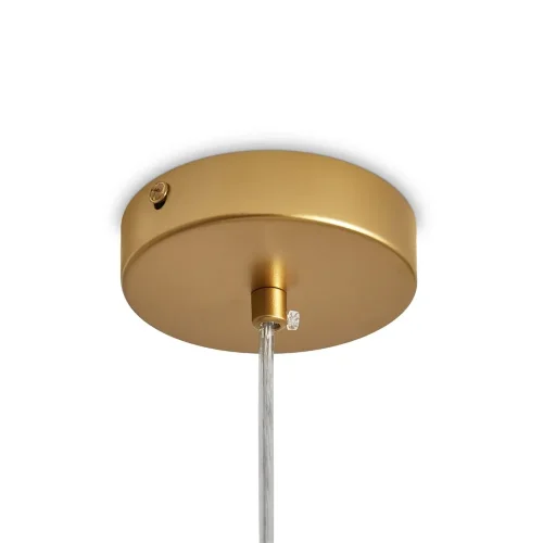 Подвесной светильник Решетка / Lattice (Латунь) FR5528PL-01BS - фото 3