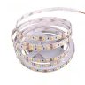Светодиодная лента Class Premium 3838 60 led/m, CCT (white/ warm white), 12V, IP33, А45 - фото III