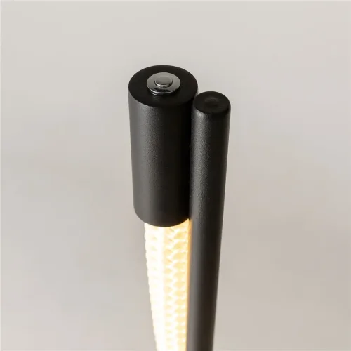 Напольный светильник (торшер) Tau 3000К 15Вт (Черный) - фото 17