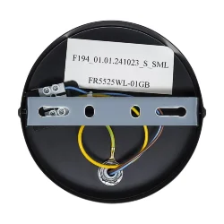 Настенный светильник (бра) FR5525WL-01GB Олли / Ollie E14x1 (Черный и Золото) FR5525WL-01GB