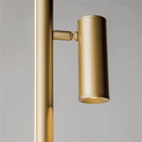 Напольный светильник (торшер) Thin 3000К 14Вт (Латунь) - фото 13