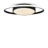 Потолочный светильник Freya FR10015CL-L62B (Черный) FR10015CL-L62B - фото 6