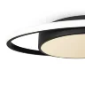 Потолочный светильник Freya FR10015CL-L62B (Черный) FR10015CL-L62B - фото 10