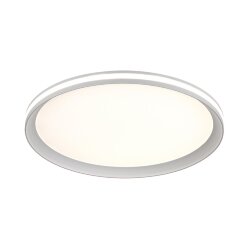 Потолочный светильник «Sonex» 7749/60L, серия: BETA (накладной) - -