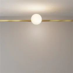Трековый светильник Луна / Luna Flarity 3000K 5Вт 120° (Латунь) TR229-1-5W3K-BS
