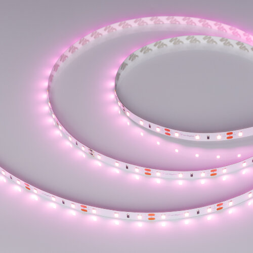 Светодиодная лента RT-A60-8mm 12V Pink (4.8 W/m, IP20, 2835, 5m) (Arlight, 4.8 Вт/м, IP20) 013571(2) - фото