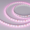 Светодиодная лента RT-A60-8mm 12V Pink (4.8 W/m, IP20, 2835, 5m) (Arlight, 4.8 Вт/м, IP20) 013571(2) - фото