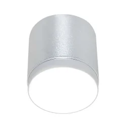 Потолочный светильник Polar GX53 1x12W (Серебро)