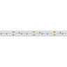 Светодиодная лента RT 2-5000 24V Green 2х2 (5060, 600 LED, LUX) (Arlight, 28.8 Вт/м, IP20) 011262 - фото 2