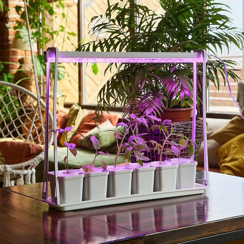 ULT-P56-10W-SPSB IP20 MARBLE ECONOM Набор Минисад, светильник для растений светодиодный с подставкой, Спектр для рассады и цветения, 6 кашпо в-к, мраморные, TM Uniel - фото 7