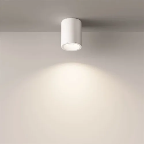 Потолочный светильник Zoom GU10 1x10Вт IP 54 (Белый) - фото 4