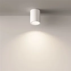 Потолочный светильник Zoom GU10 1x10Вт IP 54 (Белый)