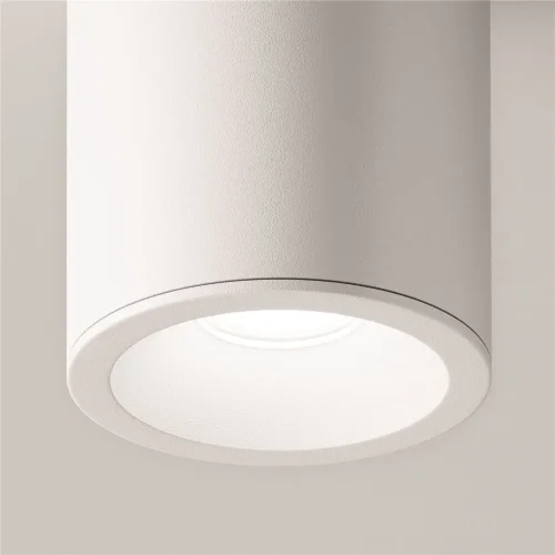 Потолочный светильник Zoom GU10 1x10Вт IP 54 (Белый) - фото 5