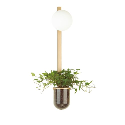 Настенный светильник «ODEON LIGHT» 4682/1WB, серия: FLOWER. Фото 1.