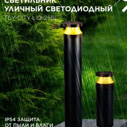 Светильник уличный светодиодный на столб ТБУ-CITY TOR-25BL 25Вт 3000/4000/6500К 90x120мм черный IP54 IN HOME