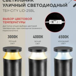 Светильник уличный светодиодный на столб ТБУ-CITY TOR-25BL 25Вт 3000/4000/6500К 90x120мм черный IP54 IN HOME