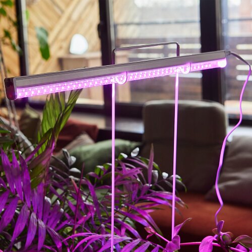 ULI-P20-10W-SPSB IP40 WHITE Светильник для растений светодиодный линейный, 560мм, выкл, на корпусе, Спектр для рассады и цветения, TM Uniel - фото 10