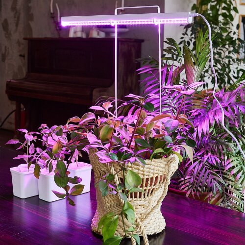 ULI-P20-10W-SPSB IP40 WHITE Светильник для растений светодиодный линейный, 560мм, выкл, на корпусе, Спектр для рассады и цветения, TM Uniel - фото 11