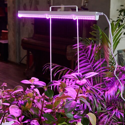 ULI-P20-10W-SPSB IP40 WHITE Светильник для растений светодиодный линейный, 560мм, выкл, на корпусе, Спектр для рассады и цветения, TM Uniel - фото 12