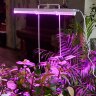 ULI-P20-10W-SPSB IP40 WHITE Светильник для растений светодиодный линейный, 560мм, выкл, на корпусе, Спектр для рассады и цветения, TM Uniel - фото 12