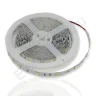 Светодиодная лента Standart PRO class, 5050, 30 led/m, White, 12V, IP20 - фото.