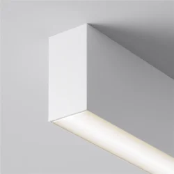 Потолочный светильник Basis 3000K-6000K 12Вт 120° IP 20 (Белый)