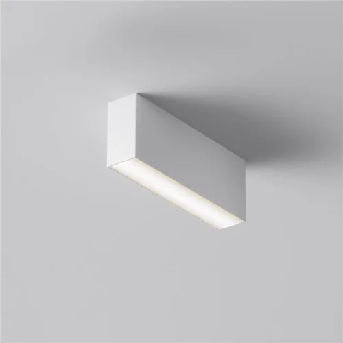 Потолочный светильник Basis 3000K-6000K 12Вт 120° IP 20 (Белый) - фото 3