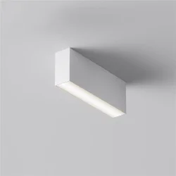 Потолочный светильник Basis 3000K-6000K 12Вт 120° IP 20 (Белый)