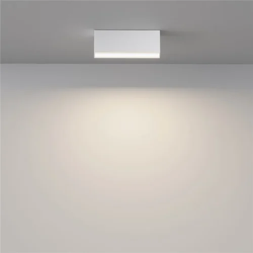 Потолочный светильник Basis 3000K-6000K 12Вт 120° IP 20 (Белый) - фото 4