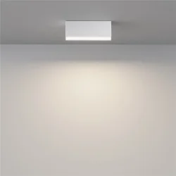 Потолочный светильник Basis 3000K-6000K 12Вт 120° IP 20 (Белый)