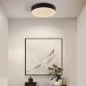 Потолочный светильник FR6218CL-L90B Криспиа / Crispia 90 Вт LED с пультом ДУ (Черный) FR6218CL-L90B - фото 11