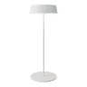 Уличный переносной аккумуляторный светильник Outdoor O540TL-L2WCCT (Белый) O540TL-L2WCCT - фото
