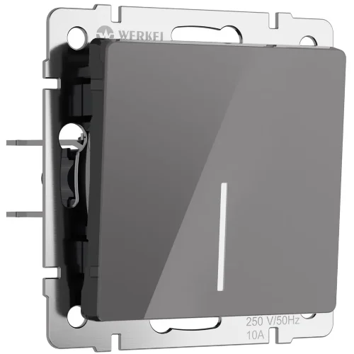 Выключатель одноклавишный проходной с подсветкой (графит акрил) W1112144 - фото