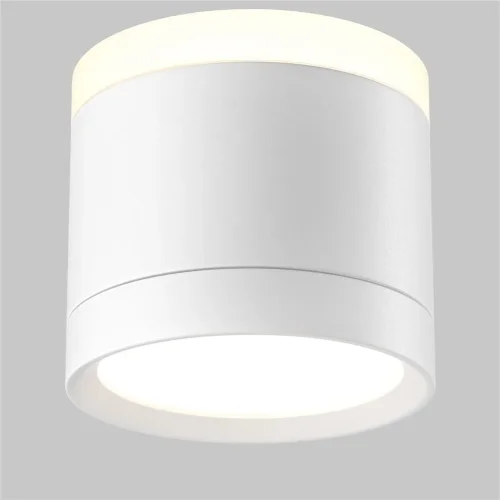 Потолочный светильник Паулина / Pauline 1*GX53 12 Вт (Белый) C120CL-GX53-W - фото 2