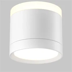 Потолочный светильник Паулина / Pauline 1*GX53 12 Вт (Белый) C120CL-GX53-W