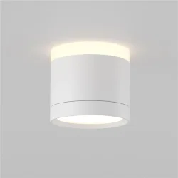 Потолочный светильник Паулина / Pauline 1*GX53 12 Вт (Белый) C120CL-GX53-W