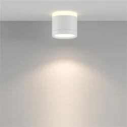 Потолочный светильник Паулина / Pauline 1*GX53 12 Вт (Белый) C120CL-GX53-W