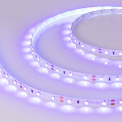 Светодиодная лента RT-А60-8mm 12V UV400 (4.8 W/m, IP20, 2835, 5m) (Arlight, Открытый) 012813(2)