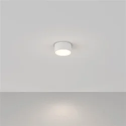 Потолочный светильник Zon 4000K 1x12Вт 120° (Белый)