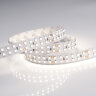Светодиодная лента RT 2-5000 24V Day4000 2х2 (3528, 1200 LED, LUX) (Arlight, 19.2 Вт/м, IP20) 013474 - фото 2