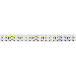 Светодиодная лента RT 2-5000 24V Day4000 2х2 (3528, 1200 LED, LUX) (Arlight, 19.2 Вт/м, IP20) 013474