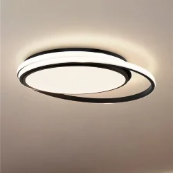 Потолочный светильник Лисоа / Lisoa (Черный) FR10032CL-L98B