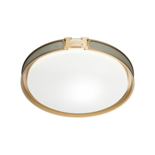 Настенно-потолочный светильник «Sonex» 7654/DL, серия: FAVEMO GREY (накладной). Фото 2.