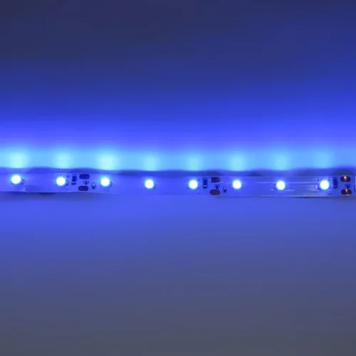 Светодиодная лента Standart class, 3528, 60led/m, Blue, 12V, IP20 - фото III
