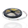 Светодиодная лента Standart class, 3528, 60led/m, Blue, 12V, IP20 - фото I