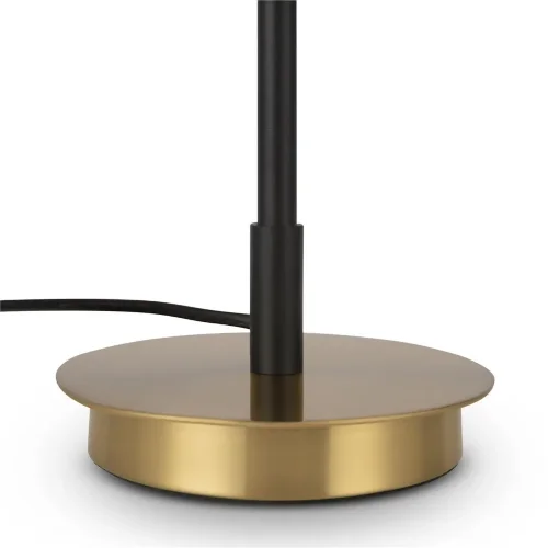 Настольный светильник Freya FR5201TL-01B (Черный) - фото 17