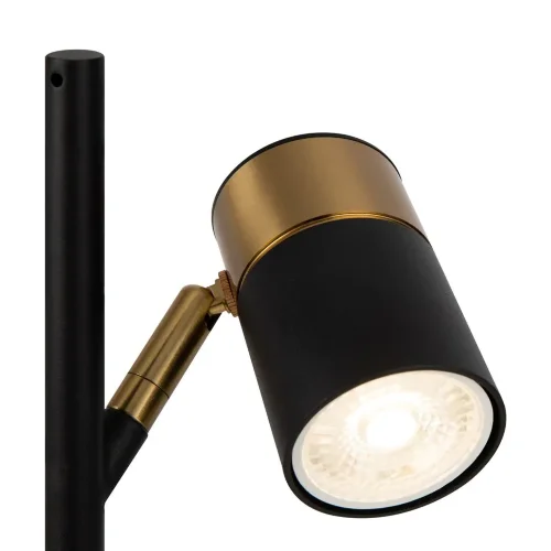 Настольный светильник Freya FR5201TL-01B (Черный) - фото 20