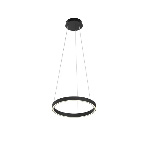 Подвесной светильник Rim 3000-4000К 24Вт (Черный) - фото