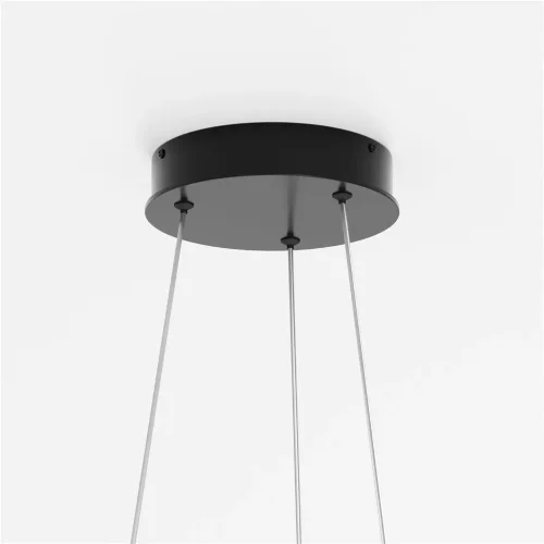 Подвесной светильник Rim 3000-4000К 24Вт (Черный) - фото 5