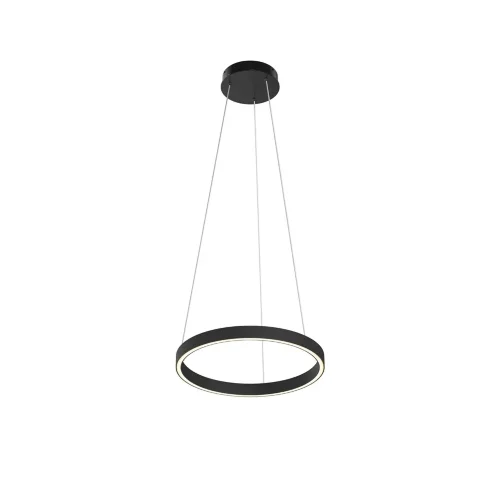Подвесной светильник Рим / Rim 3000-4000К 24Вт (Черный) MOD058PL-L22BK - фото